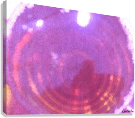 Pink Canvas Print