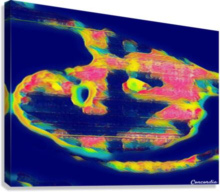 The Eye 9 Canvas Print