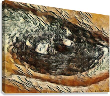 The Eye 2 Canvas Print