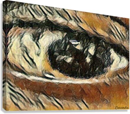 The Eye 4 Canvas Print