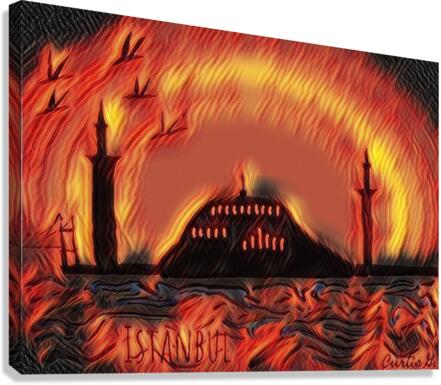Istanbul  5 Canvas Print