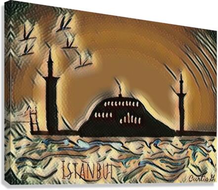 Istanbul  9 Canvas Print
