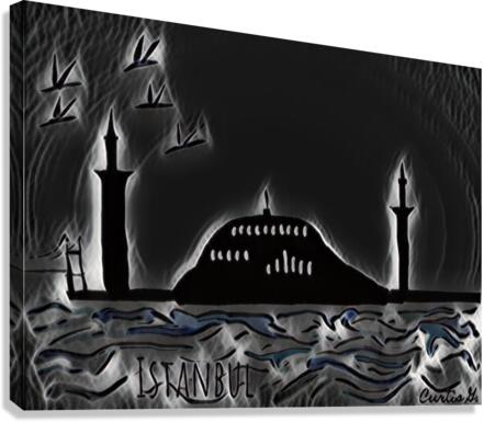 Istanbul  1 Canvas Print