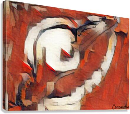 Uncertainty 2 Canvas Print