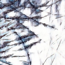 Palmistry 1
