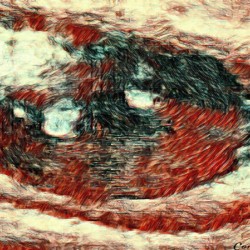 The Eye 10