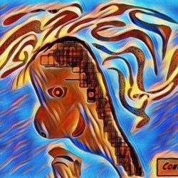 The Thinker 12