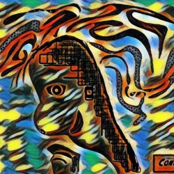 The Thinker 13