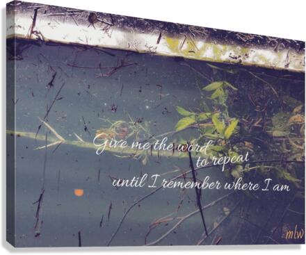 Flood Canvas Print
