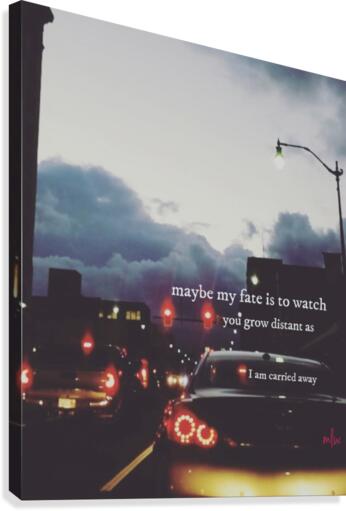 Carried Canvas Print