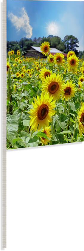 Retrieval Canvas Print