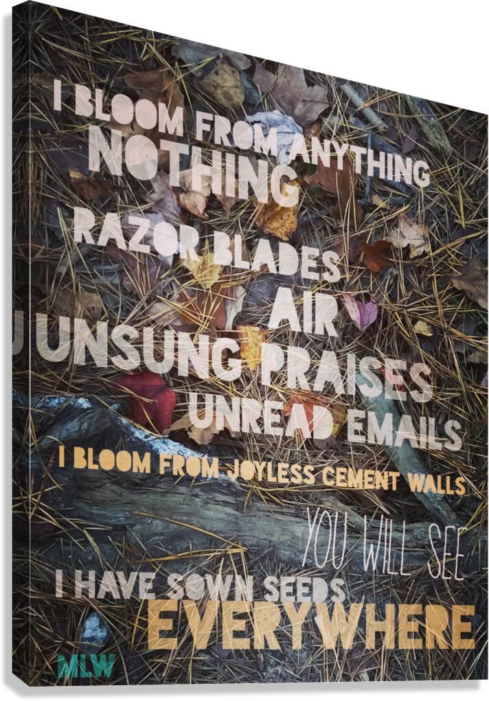 Baltimore Canvas Print