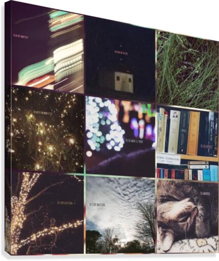 Resolutions 1-3 Canvas Print