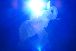 Mama Elephant
