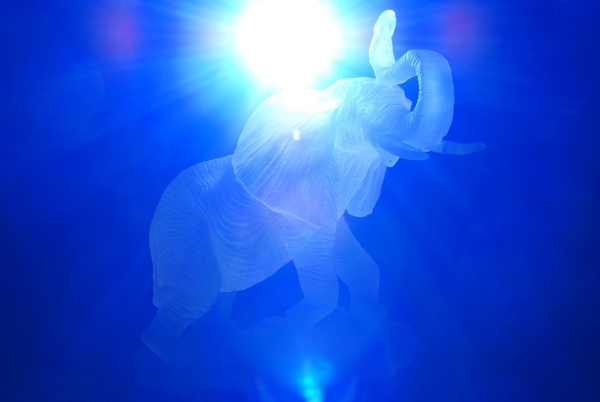 Mama Elephant Print