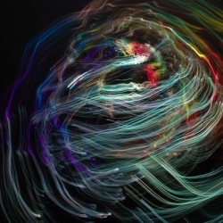 Synapses 