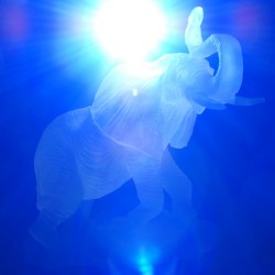 Mama Elephant