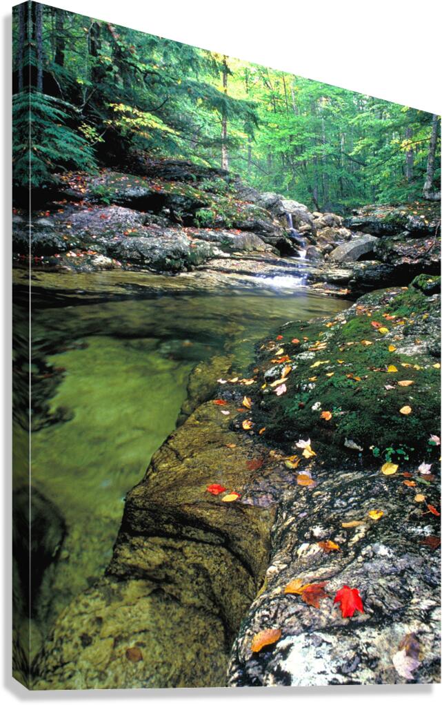 cold river Canvas Print