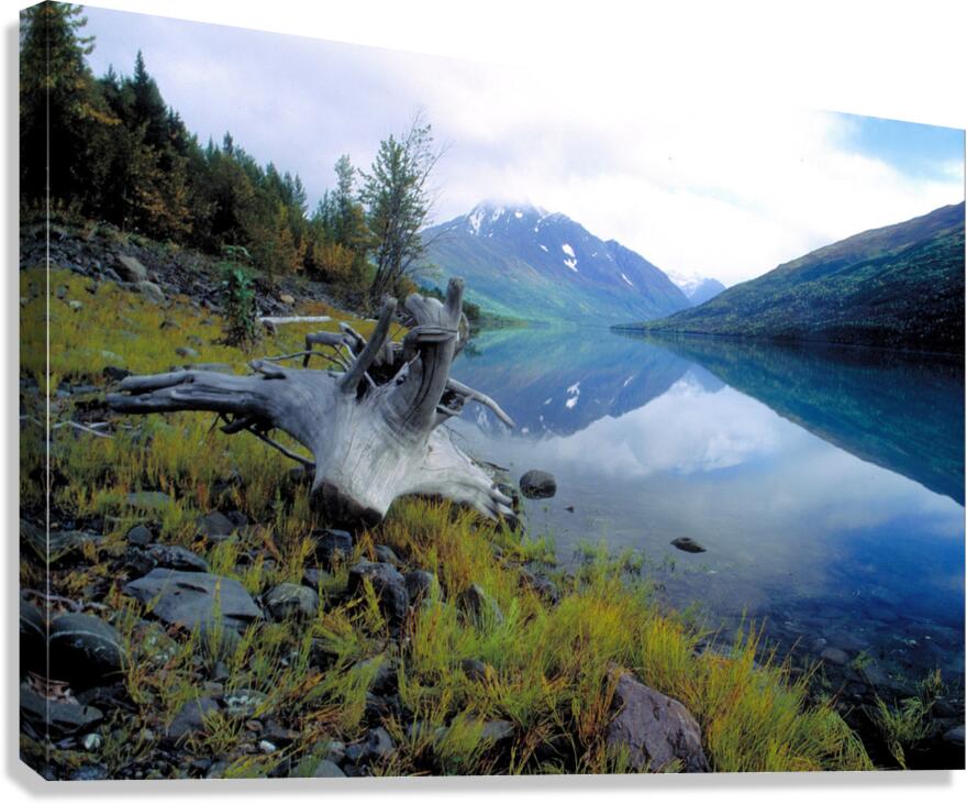 bashful peak2 Canvas Print