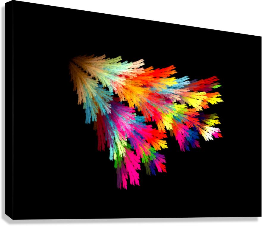 fan Canvas Print