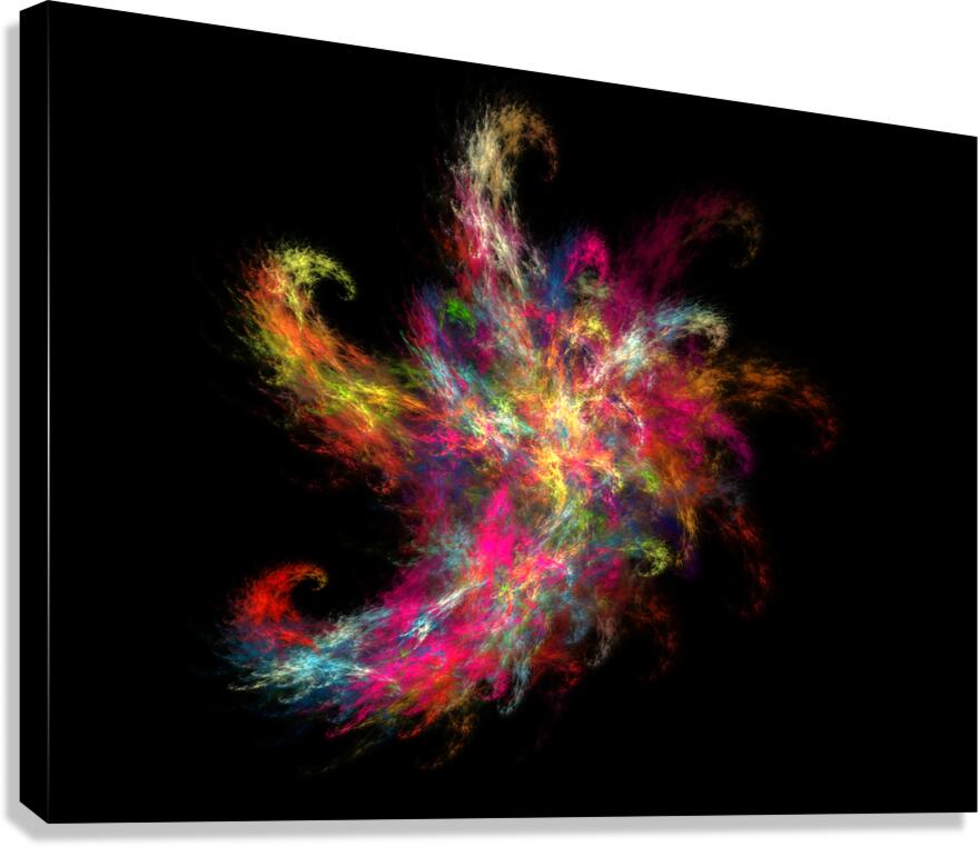 The Unknown Canvas Print