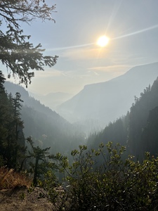 Morning in the Mountains