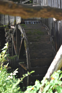 Old Mill Wheel