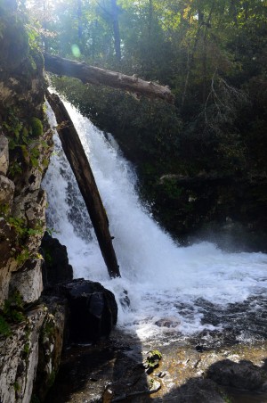 Rushing Waterfall