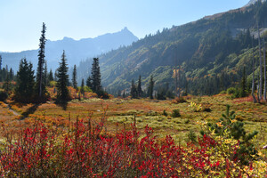 Autumn in the Mountains