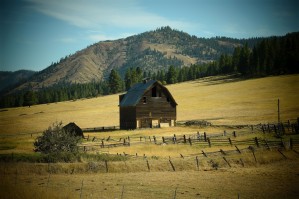 Home on the Range