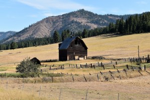 The Homestead