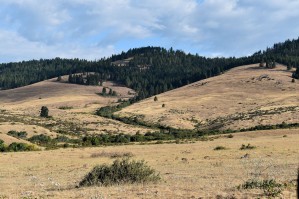 Western Valley