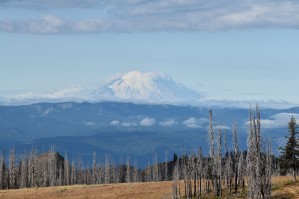 Mountain Views