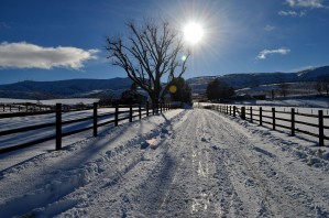 Frozen Homestead