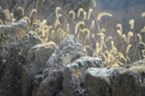 Rock Wall