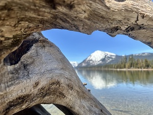 Mountain Through the Driftwood