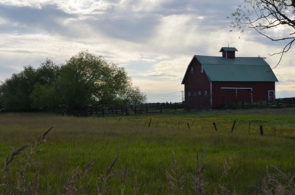 Barn Print