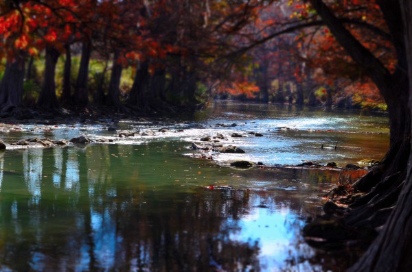 Fall on the Guadalupe River Print