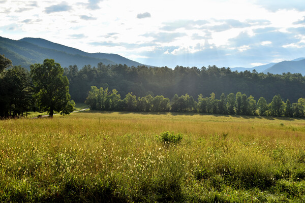 Sun Beams in the Smokies  by MDruba
