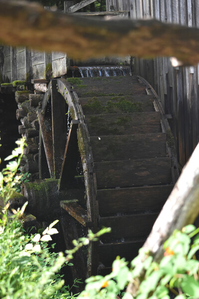 Old Mill Wheel by MDruba