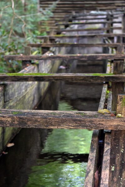 Old Water Way by MDruba