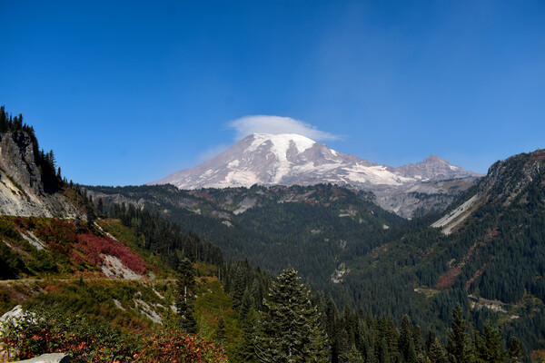 Mt. Rainier in the Fall by MDruba