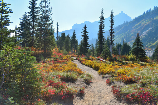 Path to the Mountains by MDruba