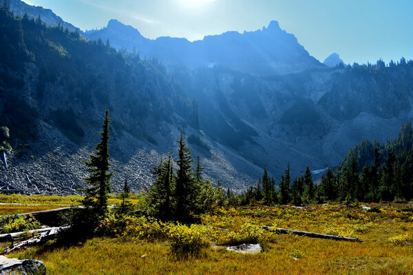 Sun Filled Mountain Meadow by MDruba