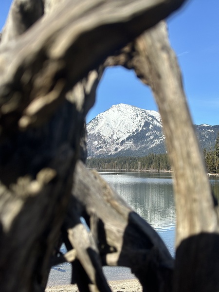 Driftwood Framed Mountain by MDruba