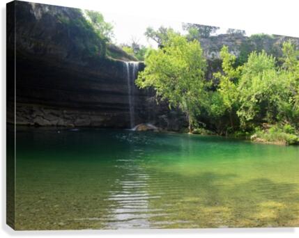 Hidden Oasis Canvas Print
