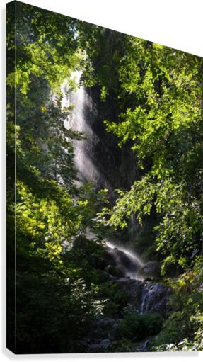 Hidden Waterfall Canvas Print