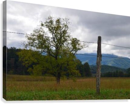 Open Range Canvas Print