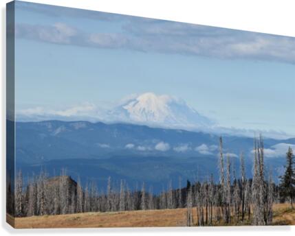 Mountain Views Canvas Print