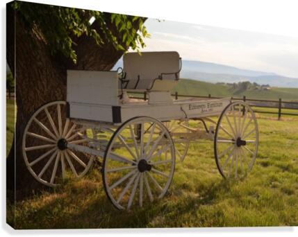 Summer Field Canvas Print